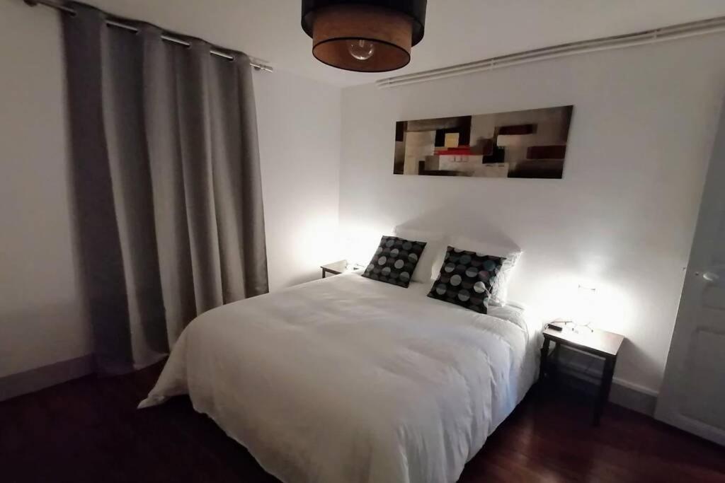 Le Laventin - 52M2 - Boulevard De La Grotte - Hyper Centre ลูร์ด ภายนอก รูปภาพ